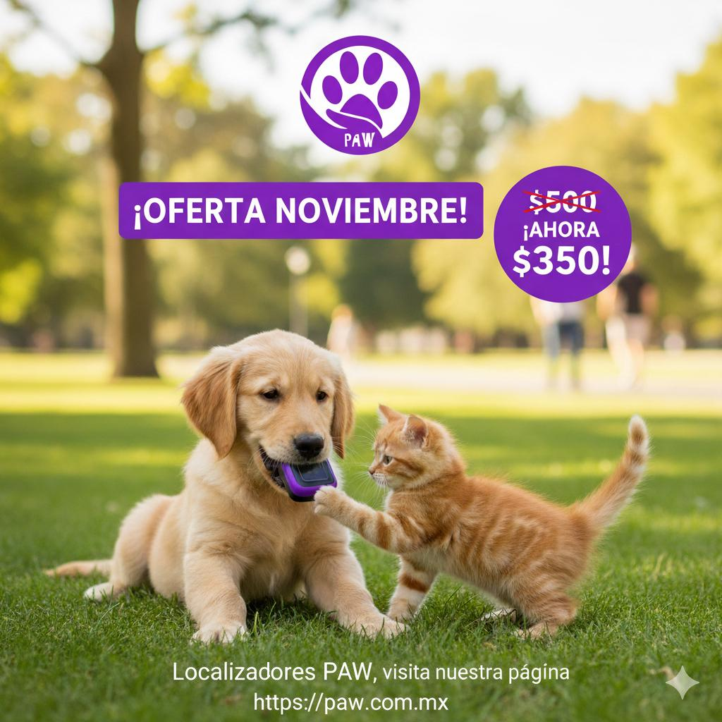 oferta2025